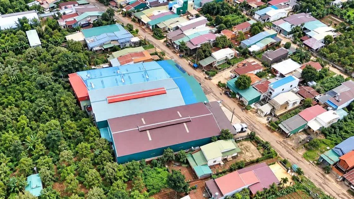 Kho sầu riêng ở Đắk Lắk mọc tràn lan, có nơi xây vượt phép gần 48 lần - Báo Tiền Phong