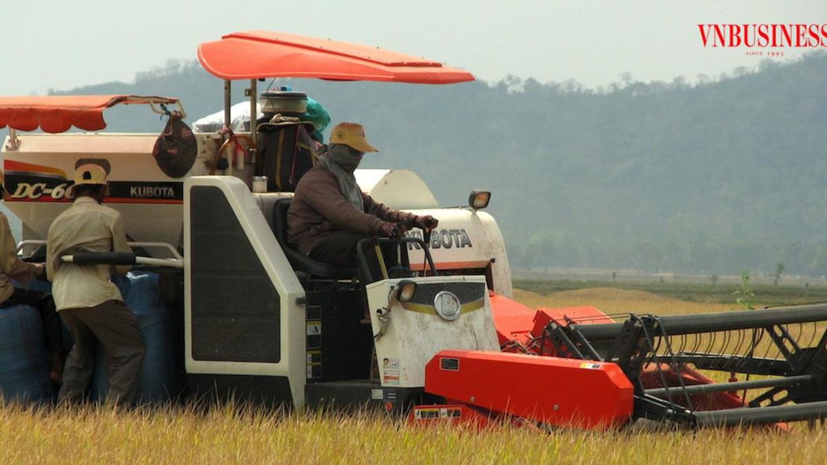 HTX kéo nông dân Đắk Liêng vào chuỗi giá trị - Tạp chí Vnbusiness