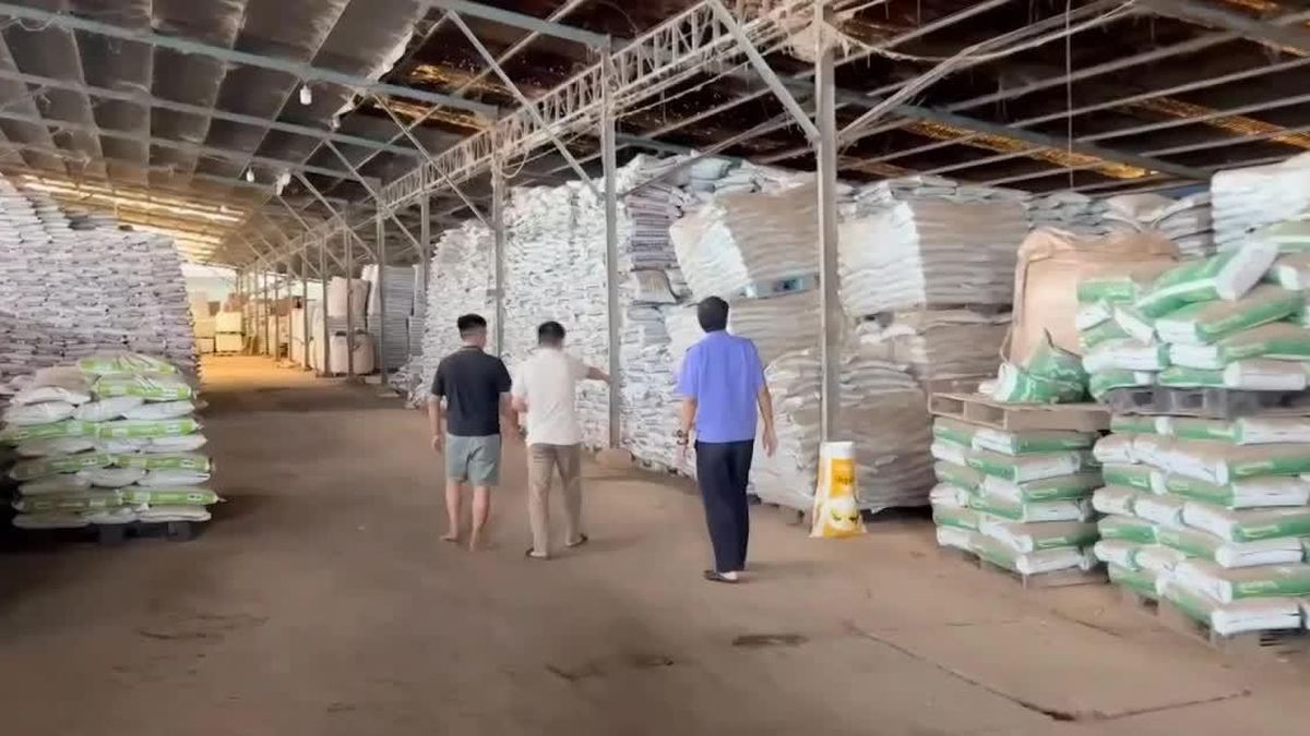 Khởi tố nhóm đối tượng buôn bán 24.000 tấn phân bón giả - Chuyên trang An Ninh Thủ Đô - Báo Công an nhân dân