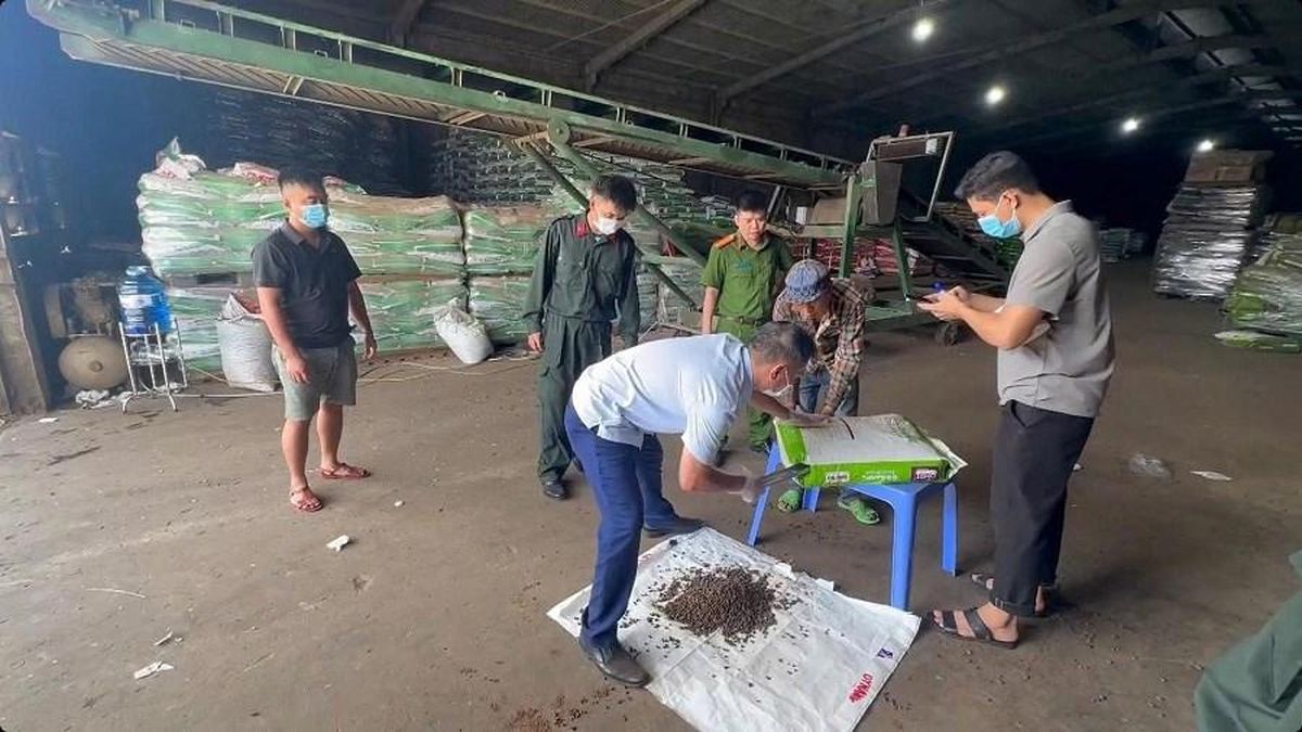Đắk Lắk: Quyết liệt ngăn chặn hàng giả, bảo vệ bản quyền - Báo Văn hóa