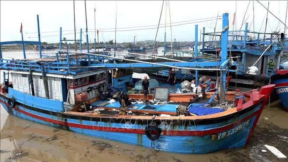 Ngư dân vươn khơi bám biển, quyết tâm chống khai thác IUU - Báo Tin Tức TTXVN