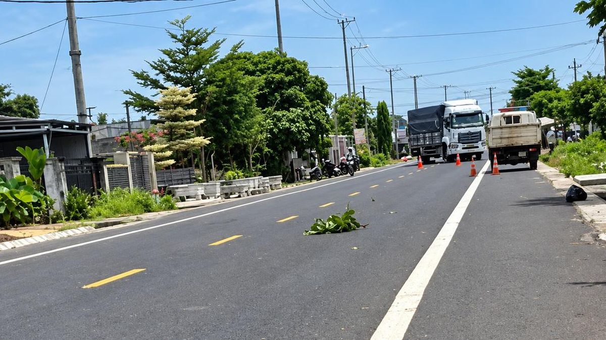 Đắk Lắk: Va chạm xe tải, bé 11 tuổi đi xe đạp điện tử vong - Báo Xây Dựng
