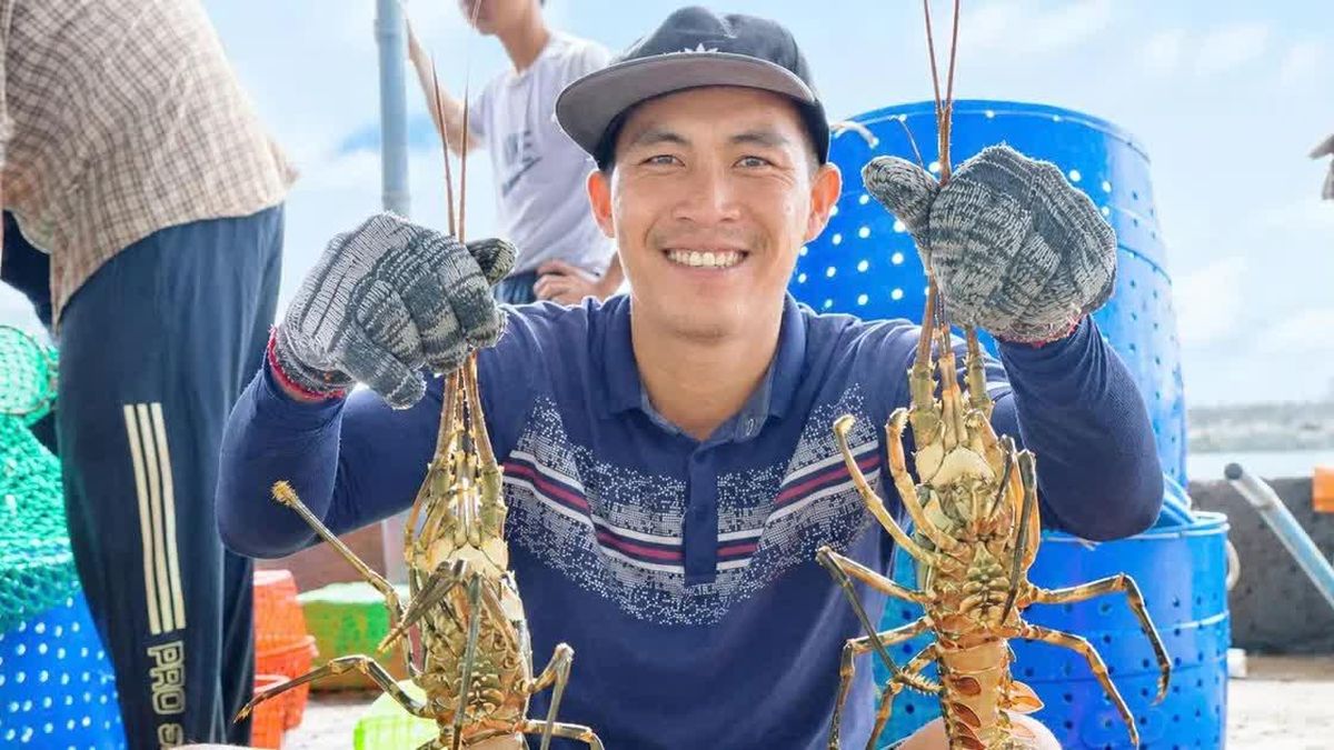 Vươn khơi nuôi biển công nghệ cao - Báo Sài Gòn Giải Phóng