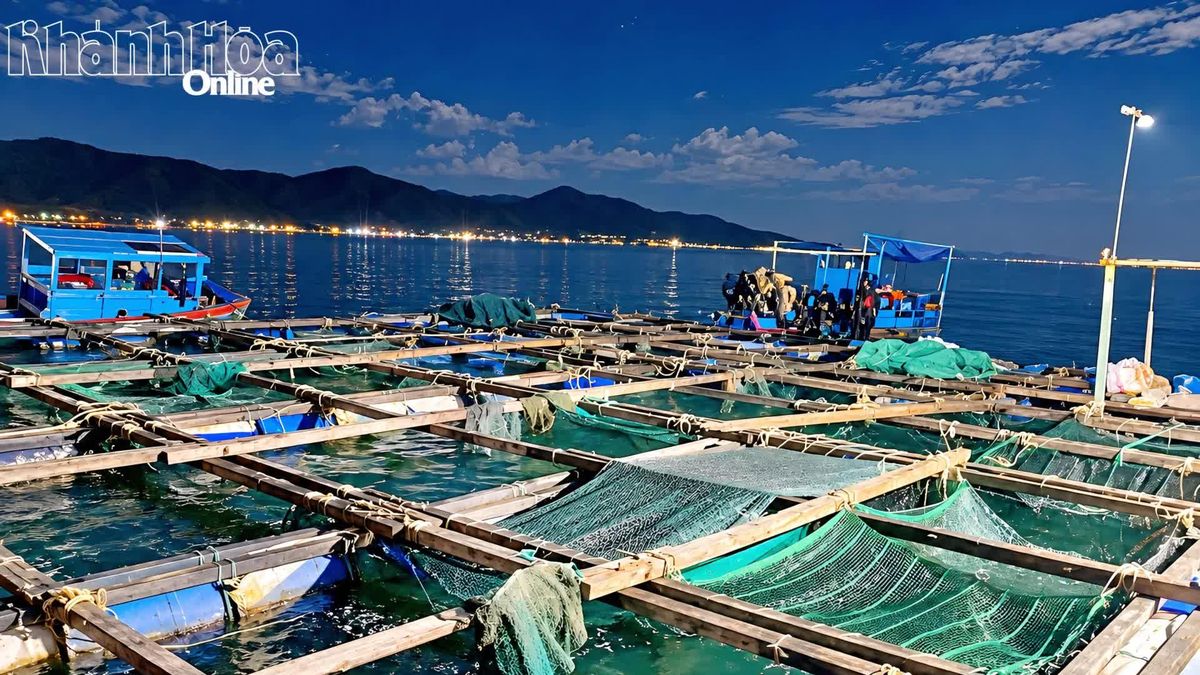 Xã Đại Lãnh: Lập lại trật tự nuôi trồng thủy sản - Báo Khánh Hòa