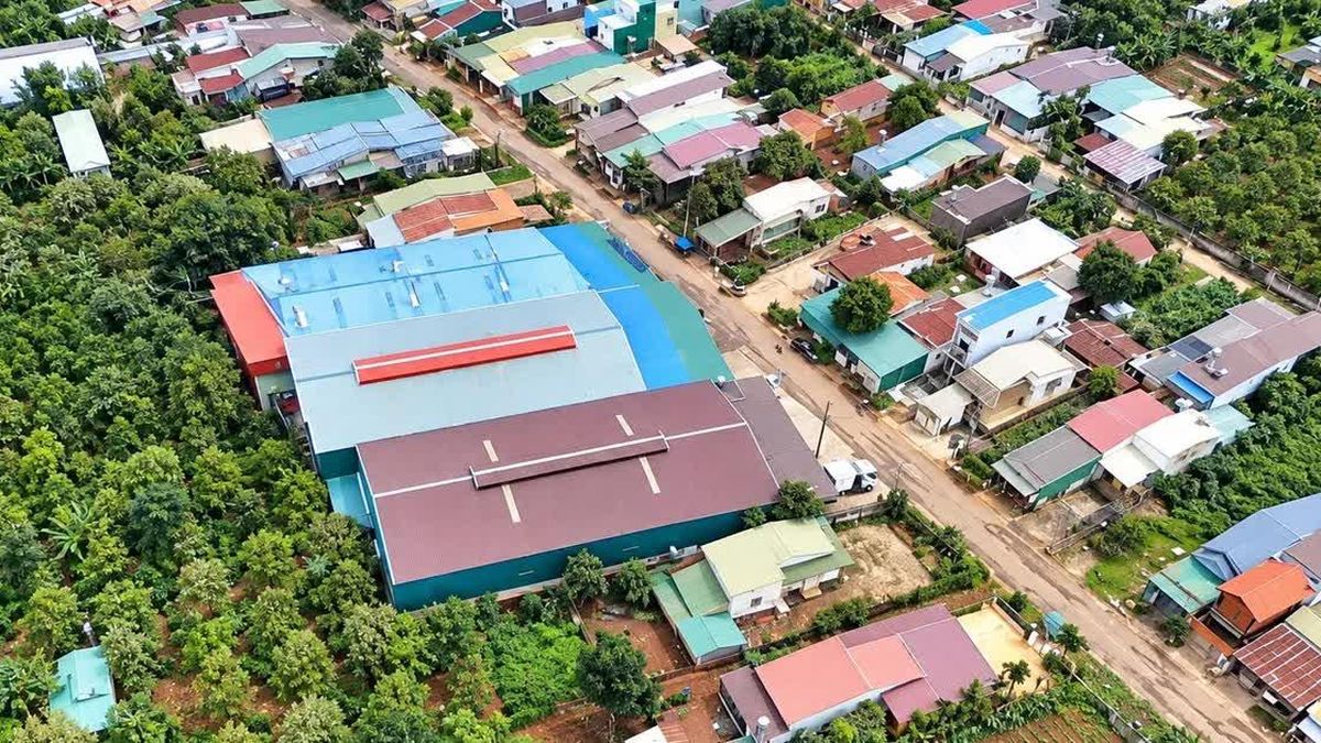 Vụ kho sầu riêng xây trái phép: Đắk Lắk lập 2 đoàn kiểm tra - Báo Tiền Phong