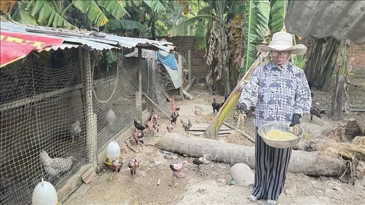Đắk Lắk: 44 xã, phường đề nghị hoàn trả hơn 155 tỷ đồng hỗ trợ - Báo Tin Tức TTXVN