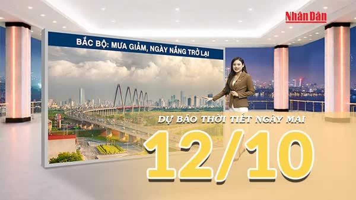 [Video] Dự báo thời tiết đêm nay và ngày mai 12/10/2026: Mưa thu hẹp dần tại Trung Bộ, Nam Bộ có mưa rào về chiều tối - Báo Nhân Dân