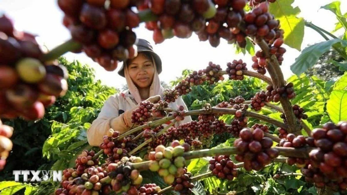 Đắk Lắk đổi mới, nâng cao hiệu quả thu hút đầu tư giai đoạn 2026-2030 - Báo VietnamPlus