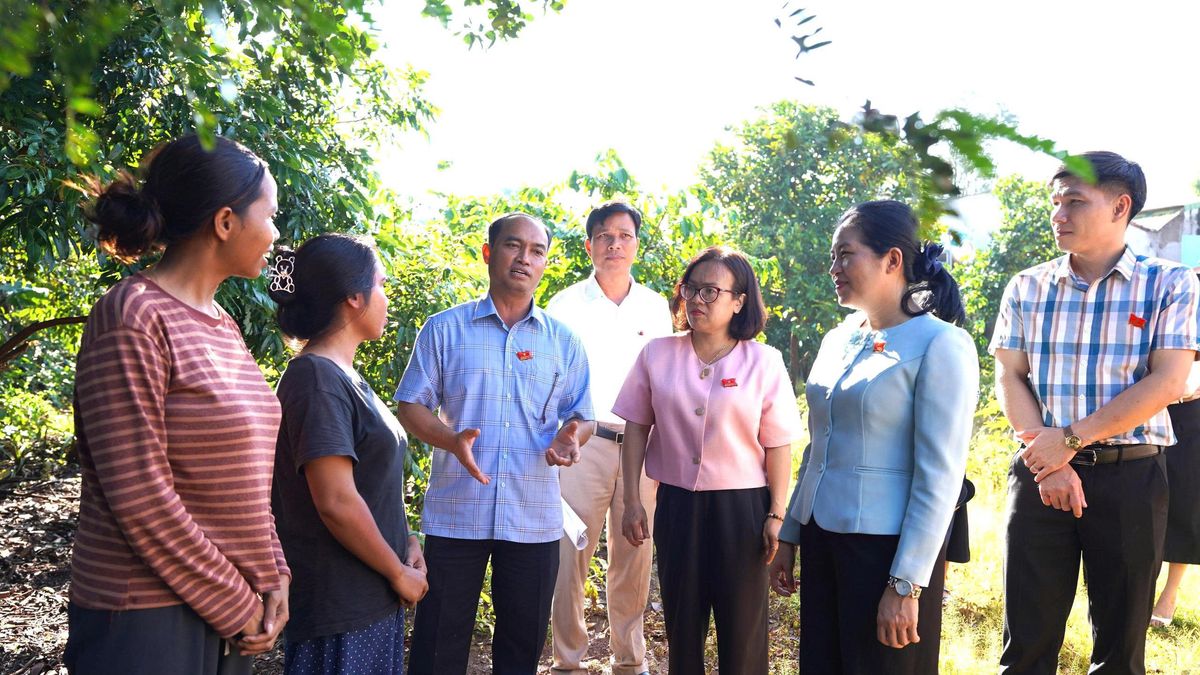 Tuyên truyền pháp luật, xoá đói giảm nghèo ở hơn 22.700 hộ đồng bào ở Đắk Lắk - Báo VTC News