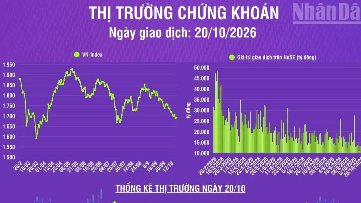 [Infographic] Chứng khoán ngày 20/10: VN-Index tăng nhẹ 2,13 điểm, khối ...