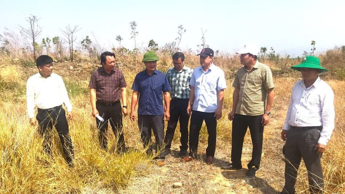 14 công trình 'mọc' trái phép trên đất cao su, nộp phạt nhưng chưa khắc phục - Báo Tiền Phong