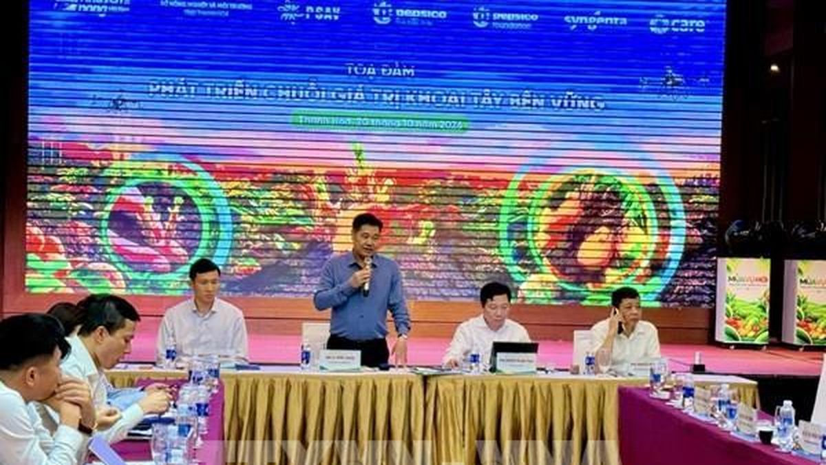 Phát triển chuỗi khoai tây bền vững, nâng thu nhập nông dân - Bnews