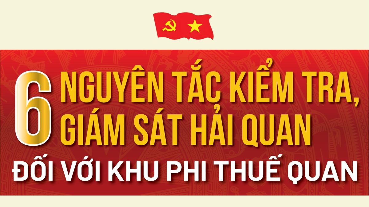 [Infographic] Nguyên tắc kiểm tra, giám sát hải quan đối với khu phi ...