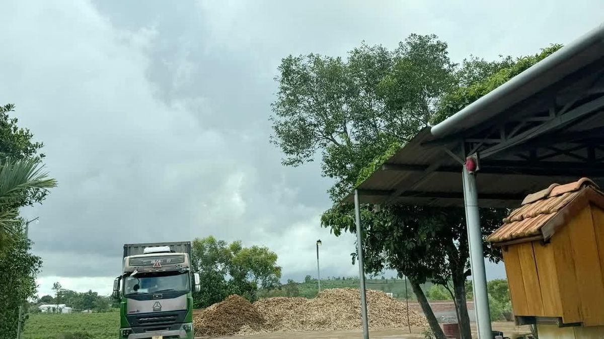 Chính quyền nói gì về loạt trạm cân tự phát mọc lên ở Vân Hòa? - Báo Công An Nhân Dân