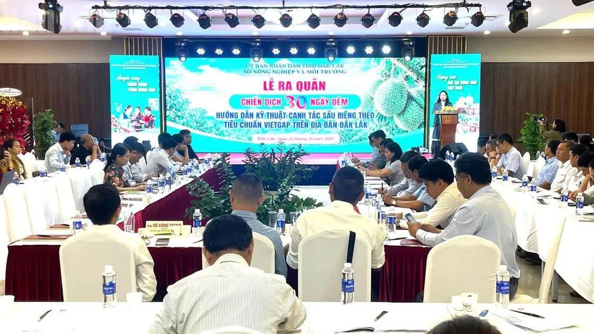 Đắk Lắk ra quân chiến dịch 30 ngày đêm hướng dẫn kỹ thuật canh tác cây sầu riêng theo tiêu chuẩn VietGAP - Báo Nhân Dân