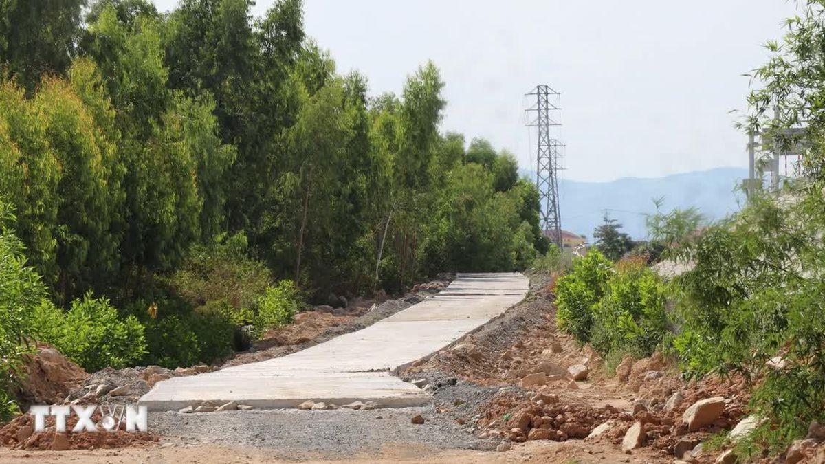 Đắk Lắk khắc phục bất cập về giao thông, sản xuất xung quanh cao tốc - Báo VietnamPlus