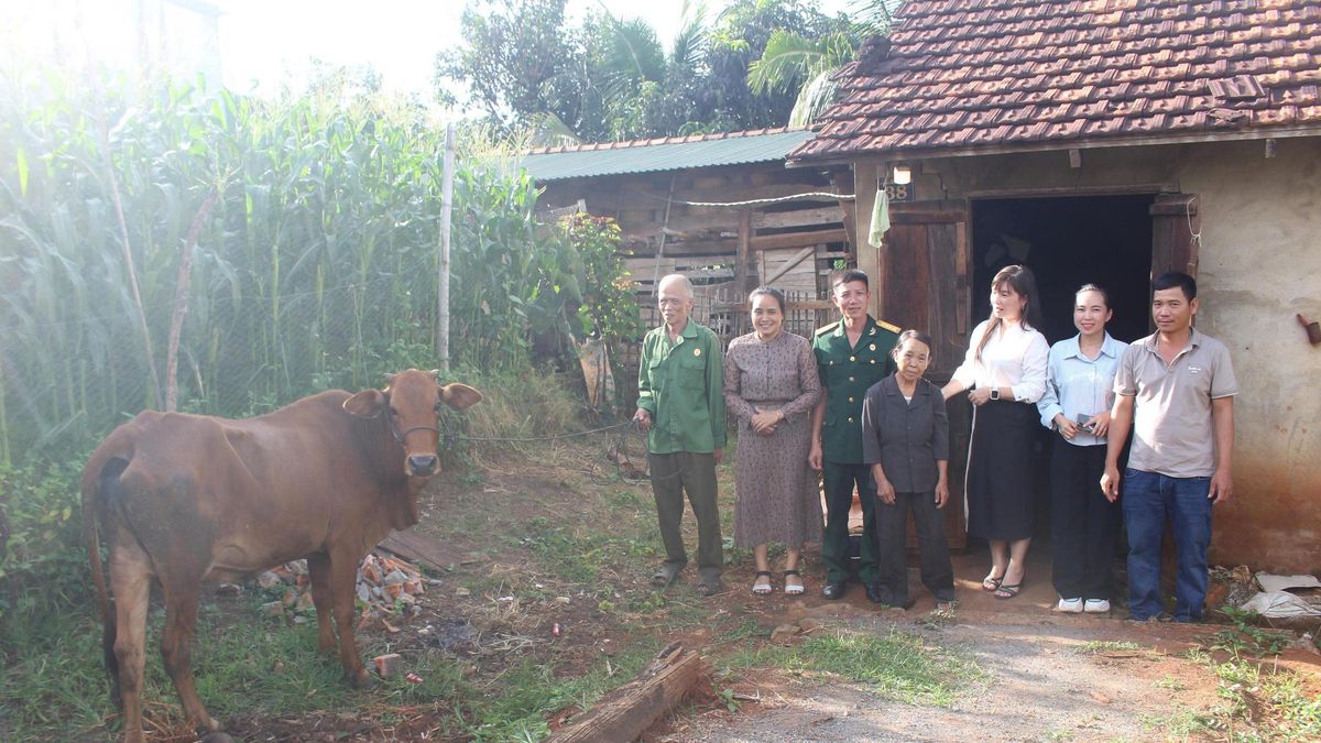 Xã Ea Nuôl (Đắk Lắk): Chuyển từ hỗ trợ sinh kế sang phát triển sản xuất theo chuỗi giá trị - Báo Kiểm Toán
