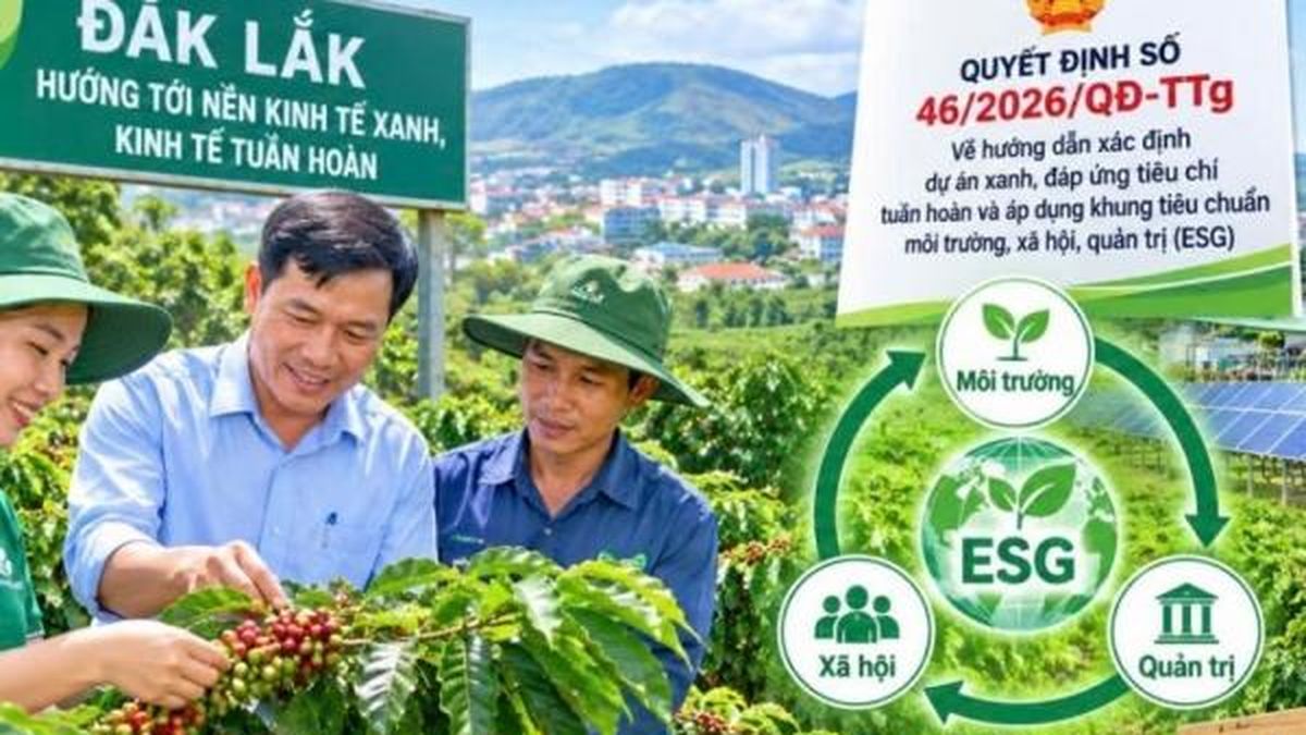 Đắk Lắk triển khai tiêu chí dự án xanh thúc đẩy kinh tế tuần hoàn quản trị ESG bền vững - Nông nghiệp Hữu cơ Việt Nam