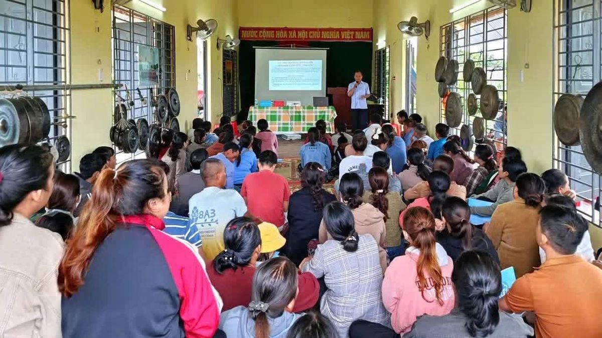 Hiệu quả từ sàn giao dịch việc làm đối với người dân vùng biên giới Đắk Lắk - Báo Giáo Dục & Thời Đại