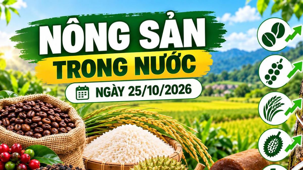Nông sản trong nước ngày 25/10: Cà phê dưới 90.000 đồng/kg, sầu riêng giảm tại Đắk Lắk - Chuyên Trang Doanh nhân & Công lý - Báo Công Lý