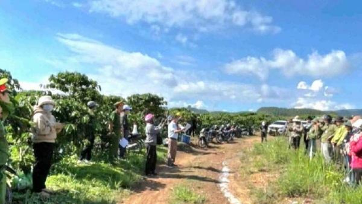 Đắk Lắk thu hồi đất lâm nghiệp bị lấn chiếm tăng cường bảo vệ rừng, phát triển bền vững - Nông nghiệp Hữu cơ Việt Nam