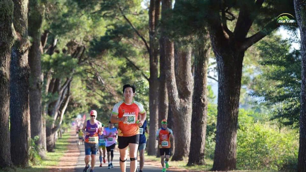3.500 VĐV tham gia Giải chạy Gia Lai City Trail - Giấc mơ đại ngàn năm 2026 - Chuyên trang Công an Đà Nẵng - Báo Công an Nhân dân