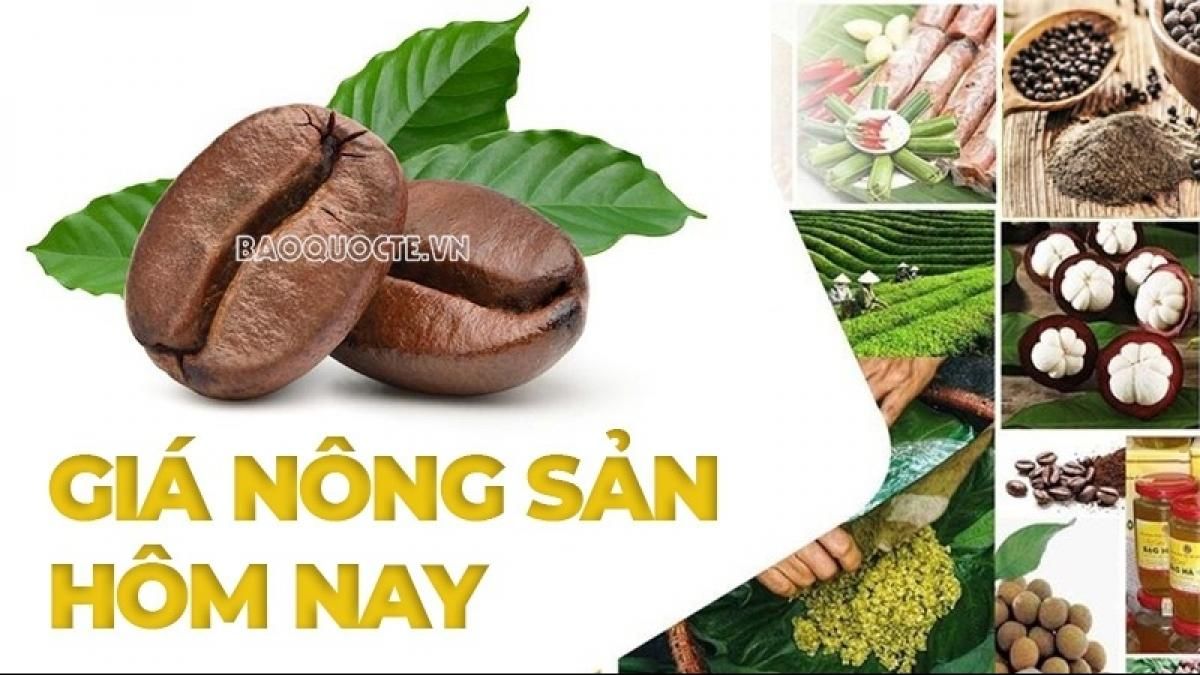 Giá nông sản hôm nay 27/10/2026: Giá cà phê giảm không ngừng, hình thành xu hướng mới? Đắk Lắk khởi động Lễ hội cà phê Buôn Ma Thuột 2027 - Báo Thế Giới & Việt Nam
