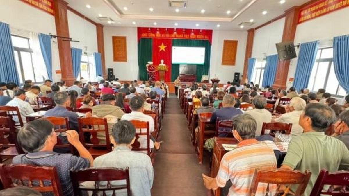Đắk Lắk tập huấn chống sượng, phòng ngừa cadimi, nâng cao chất lượng sầu riêng bền vững - Nông nghiệp Hữu cơ Việt Nam