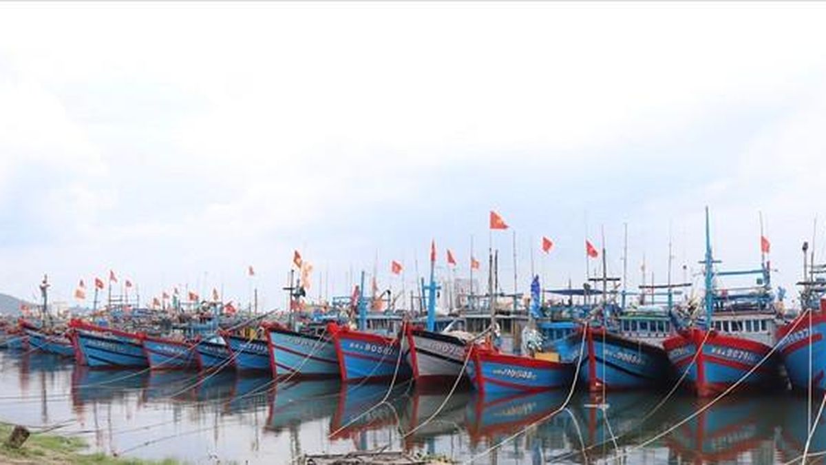 Chủ động ứng phó gió mạnh, sóng lớn trên biển, bảo đảm an toàn cho ngư dân - Báo Hà Nội Mới