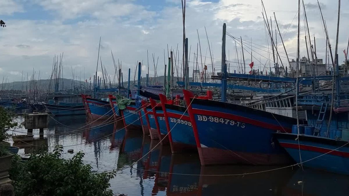 Gia Lai và 12 tỉnh ven biển chủ động ứng phó gió giật cấp 9, sóng cao 4 m - Báo Gia Lai