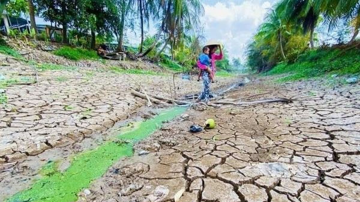 Đắk Lắk chủ động phòng chống hạn hán, bảo vệ sản xuất nông nghiệp mùa khô năm 2026–2027 - Nông nghiệp Hữu cơ Việt Nam
