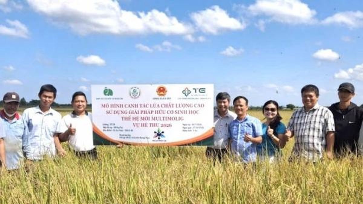 Đắk Lắk: Đưa công nghệ sinh học của Nga lên đồng ruộng Ea Súp, kết nối chuỗi giá trị số - Nông nghiệp Hữu cơ Việt Nam