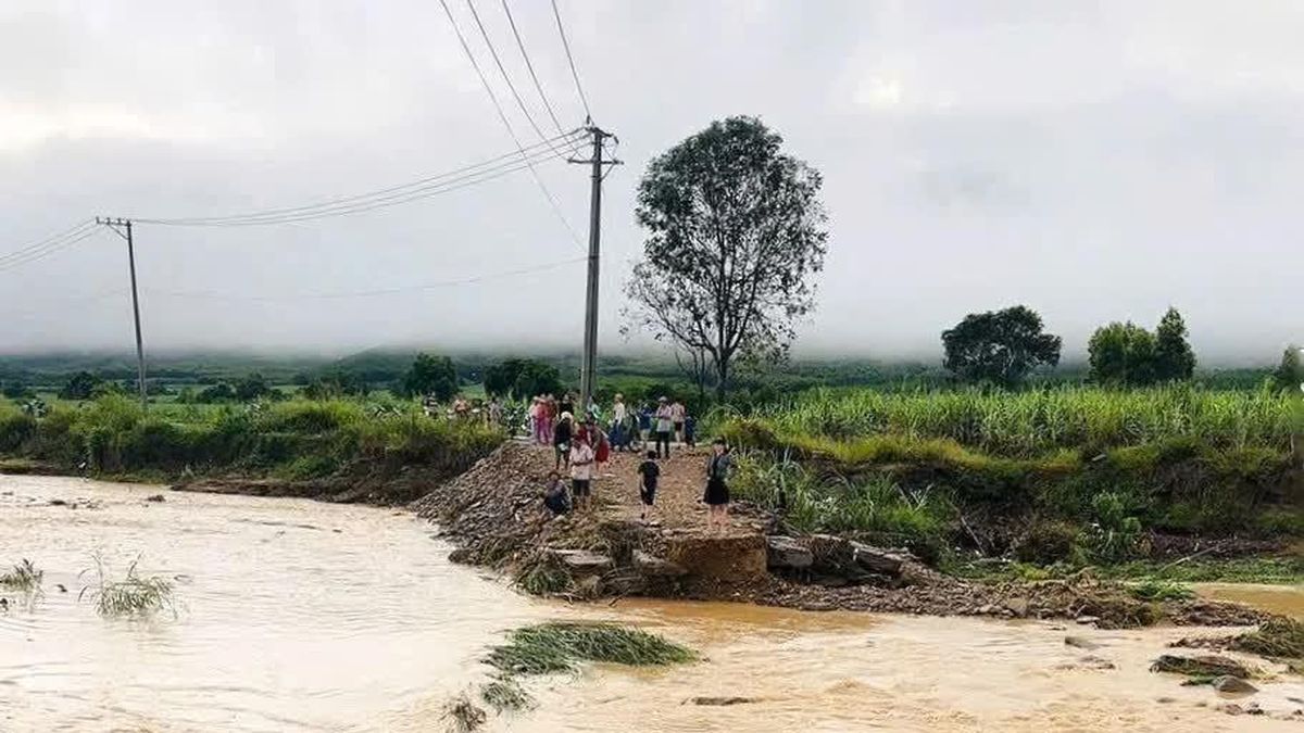 Mưa lớn gây sạt lở đường dẫn cầu, ngập cục bộ tại phía Đông Đắk Lắk - Báo VietnamPlus