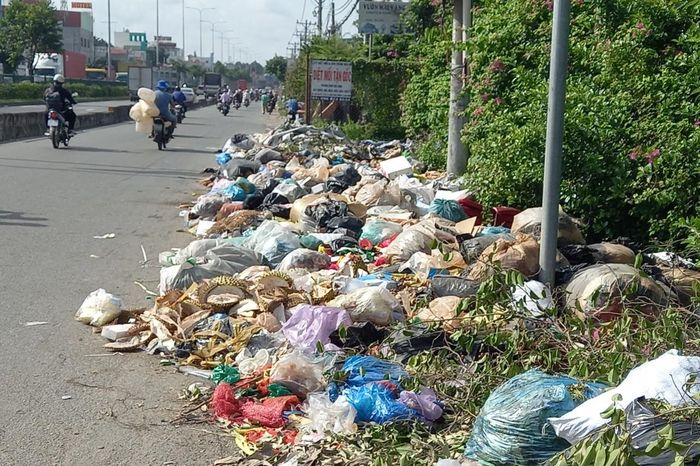 Cận cảnh bãi rác 'bủa vây' chợ đầu mối Hóc Môn nhiều năm - Báo Công Luận