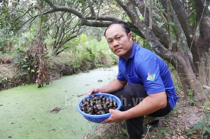 Đào rãnh nuôi ốc đặc sản, anh nông dân bán 120.000 đồng/kg - Báo Tri ...
