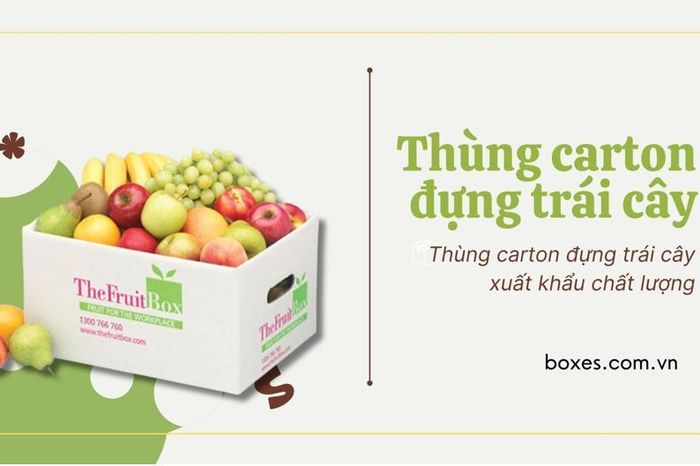 Boxes Việt Nam - Hành trình đưa thùng carton đựng trái cây xuất khẩu ra ...
