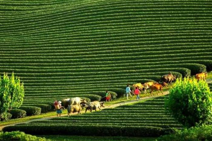 Chinh phục 'dải đất hình chữ S': 9 khu du lịch quốc gia tuyệt vời không thể bỏ lỡ