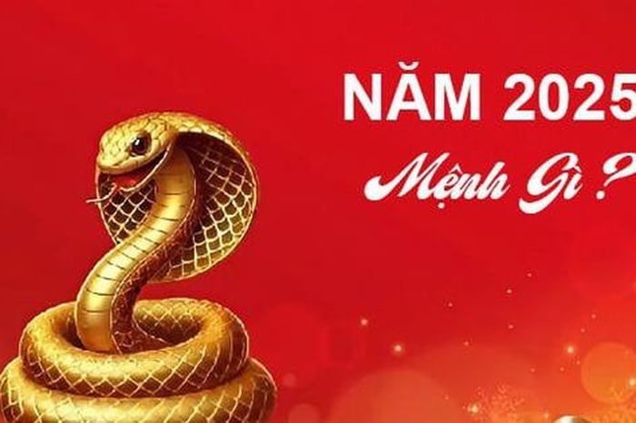 Năm 2025 mệnh gì, hợp với tuổi nào, đâu là màu sắc mang lại may mắn ...