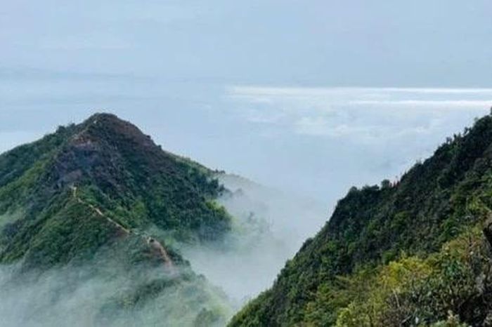 Săn mây Tà Xùa, trekking khu rừng phủ rêu ma mị như trong phim - Báo ...