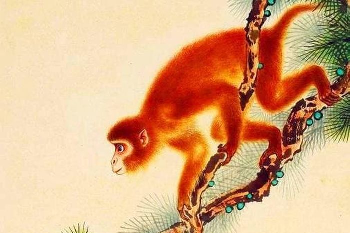 Gọi tên 3 con giáp hốt trọn vận may, lộc tăng vọt Hè 2025 - Báo Tri ...