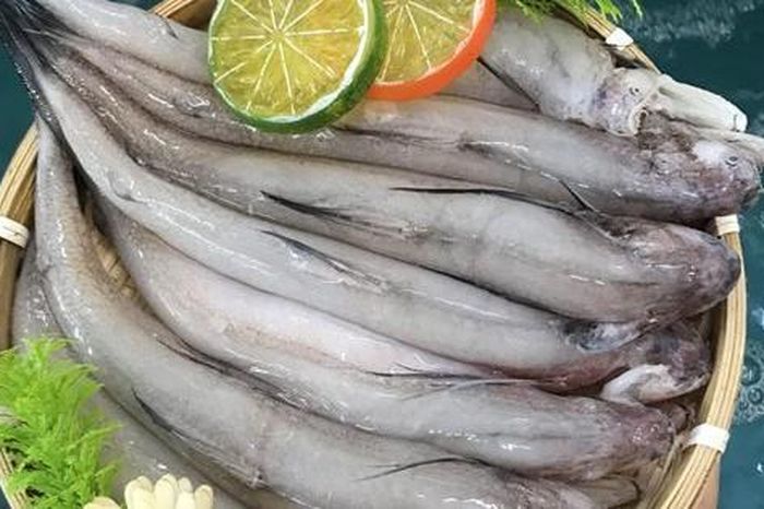 Cá Biển Ngọt: Đặc Sản Dinh Dưỡng, Lợi Sức Khỏe - người nổi tiếng news from Báo Mới