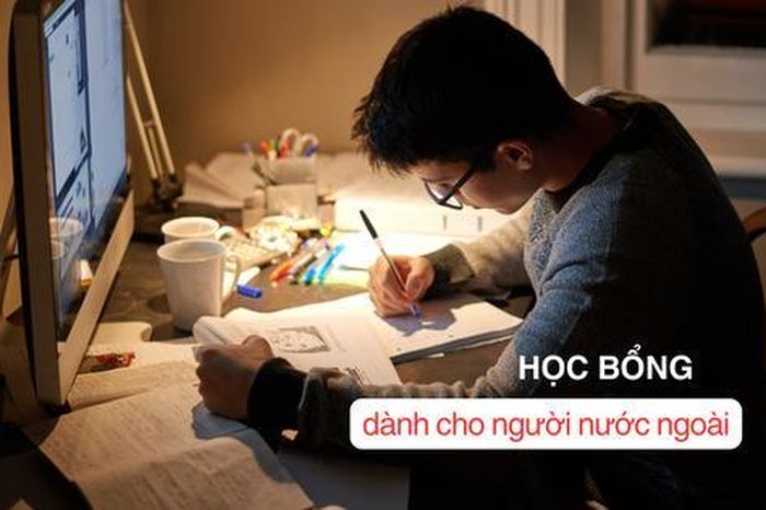 baomoi.com