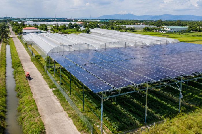 Việt - Nhật hợp tác: Hệ sinh thái công nghệ tuần hoàn thúc tăng trưởng - công nghệ news from Báo Mới